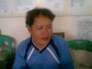 Elida
